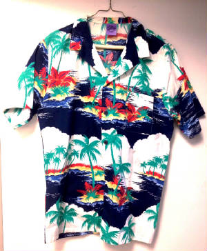 Brimfield Hawaiian shirt.JPG