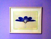 Flower painting on Allegra's wall.JPG
