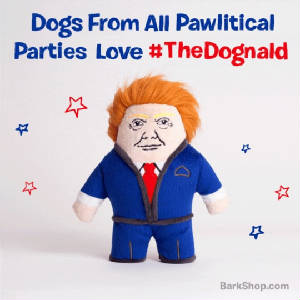 The Dognald dog toy from Barkbox.jpg
