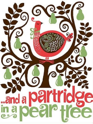 partridge in a pear tree.jpg