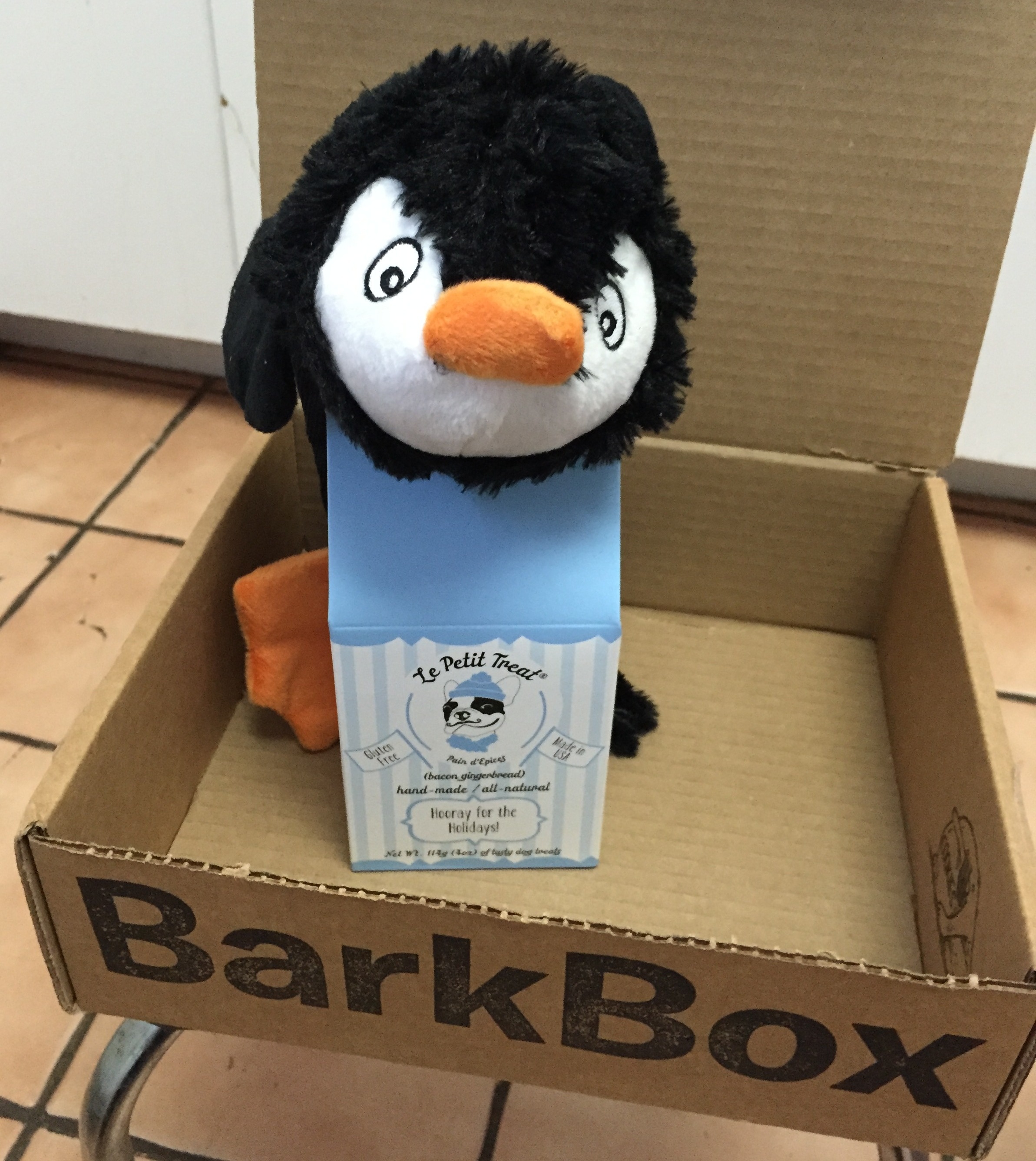 Barkbox sent Latke some extra treats.jpg