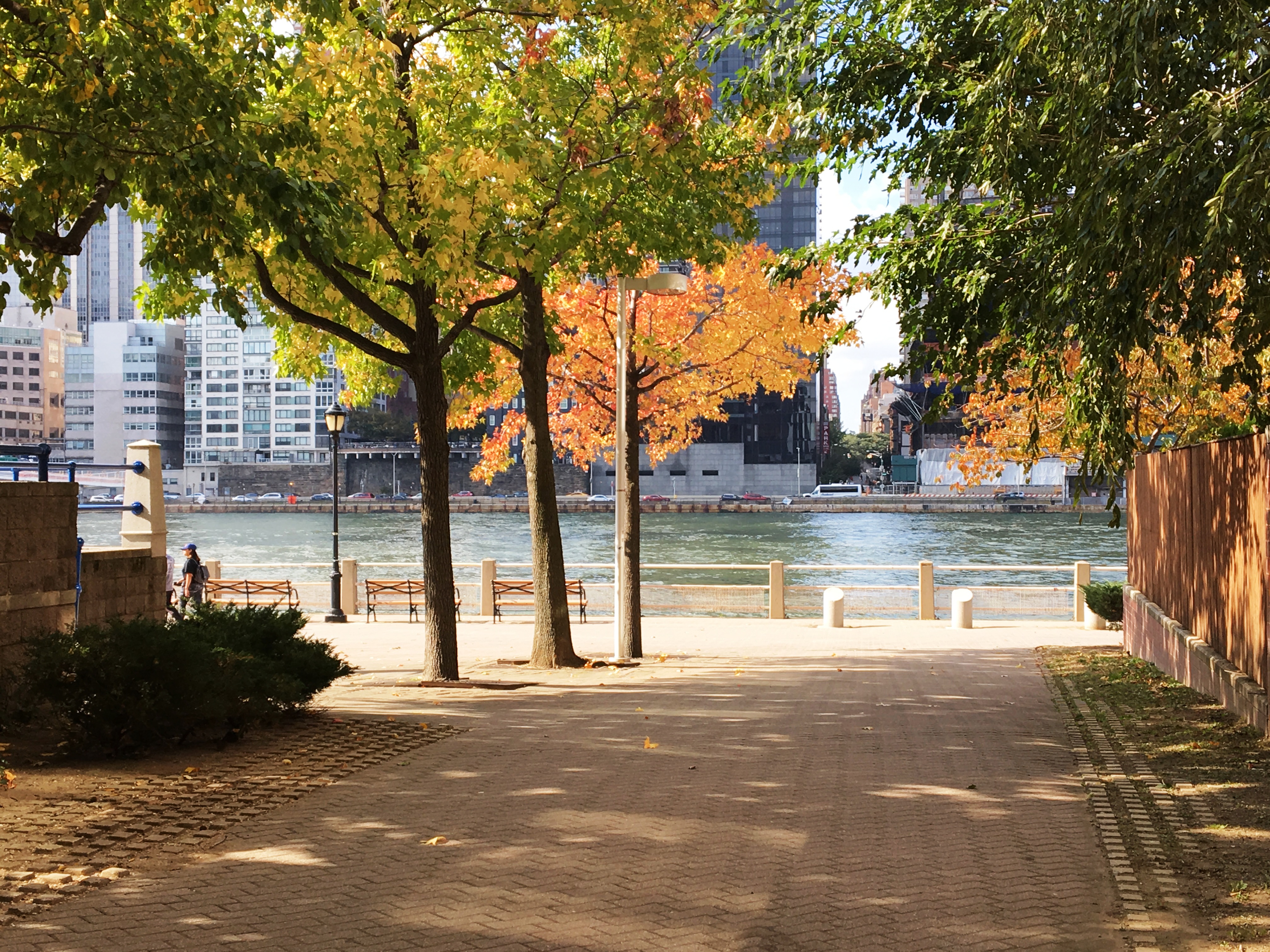 Roosevelt Island riverfront.JPG