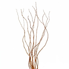 She would weave in curly willow branches.jpg