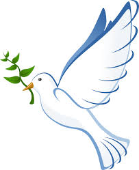 peace dove.jpg