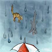 rainingcatsanddogs.jpg