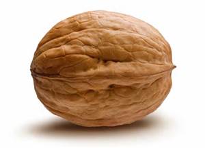 walnut.jpg